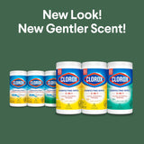 Disinfecting Cleaning Wipes Variety Pack, 75 Count Each, Pack of 3 (Package May Vary)